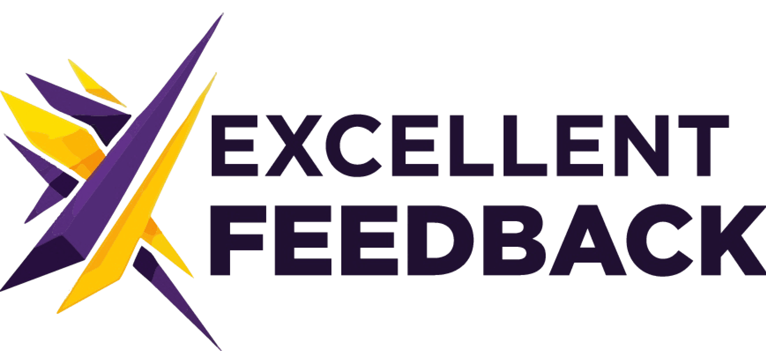 Excellent Feedback image 1